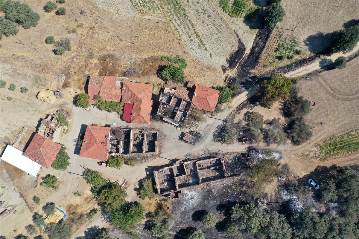 İzmir, Aydın, Manisa ve Uşak'ta ekiplerin aralıksız mücadele ettiği orman yangınları sonrası yeşil...