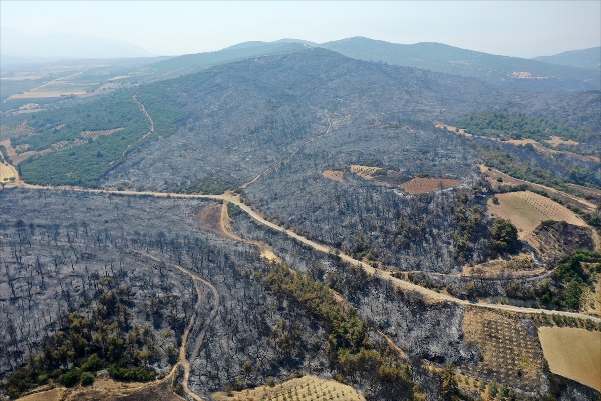 İzmir, Aydın, Manisa ve Uşak'ta ekiplerin aralıksız mücadele ettiği orman yangınları sonrası yeşil...