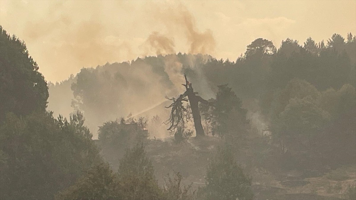  Ankara'nın Kızılcahamam ilçesinde otluk alanda başlayan yangının Bolu'nun Gerede ilçesinde...