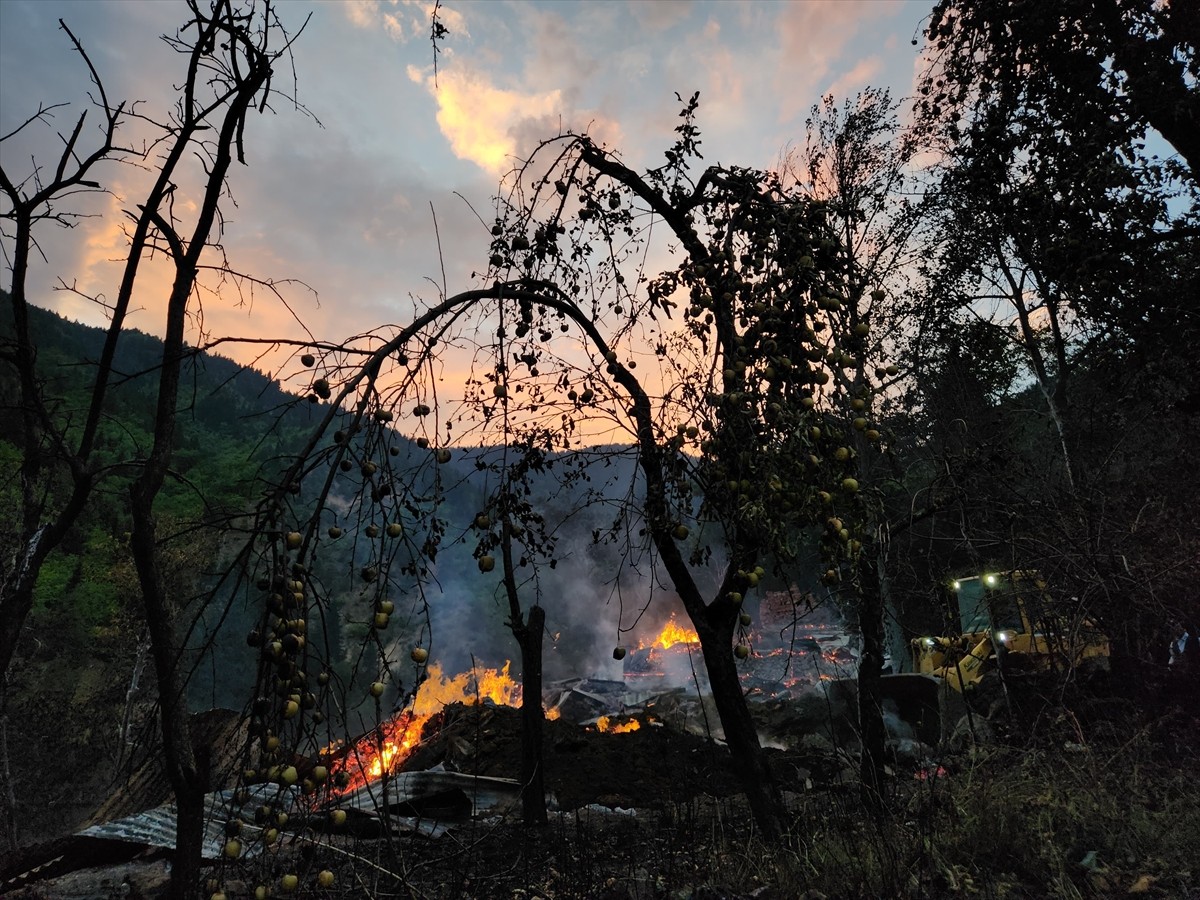 Artvin'in Şavşat ilçesine bağlı Çukur köyü Digazeler Mahallesi'nde akşam saatlerinde Şemsettin...