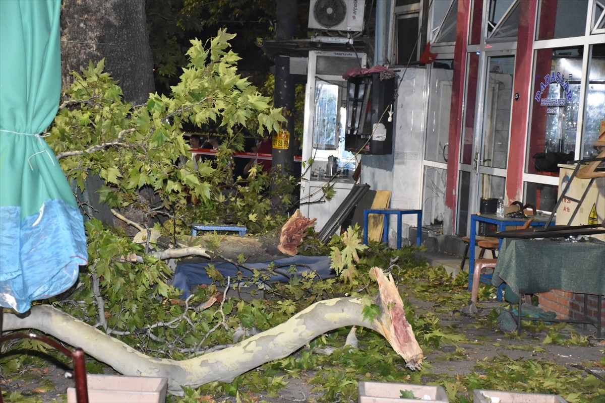 İzmir'in Kemalpaşa ilçesinde, asırlık çınar ağacının kırılan dalları ağacın altında oturan...