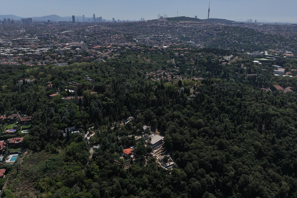 İstanbul Çevre Şehircilik ve İklim Değişikliği İl Müdürlüğü ekipleri, Üsküdar Vaniköy'de Boğaziçi...