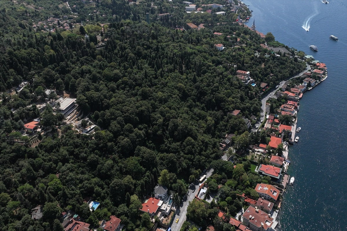 İstanbul Çevre Şehircilik ve İklim Değişikliği İl Müdürlüğü ekipleri, Üsküdar Vaniköy'de Boğaziçi...