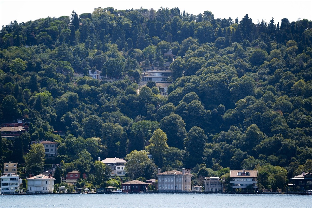 İstanbul Çevre Şehircilik ve İklim Değişikliği İl Müdürlüğü ekipleri, Üsküdar Vaniköy'de Boğaziçi...