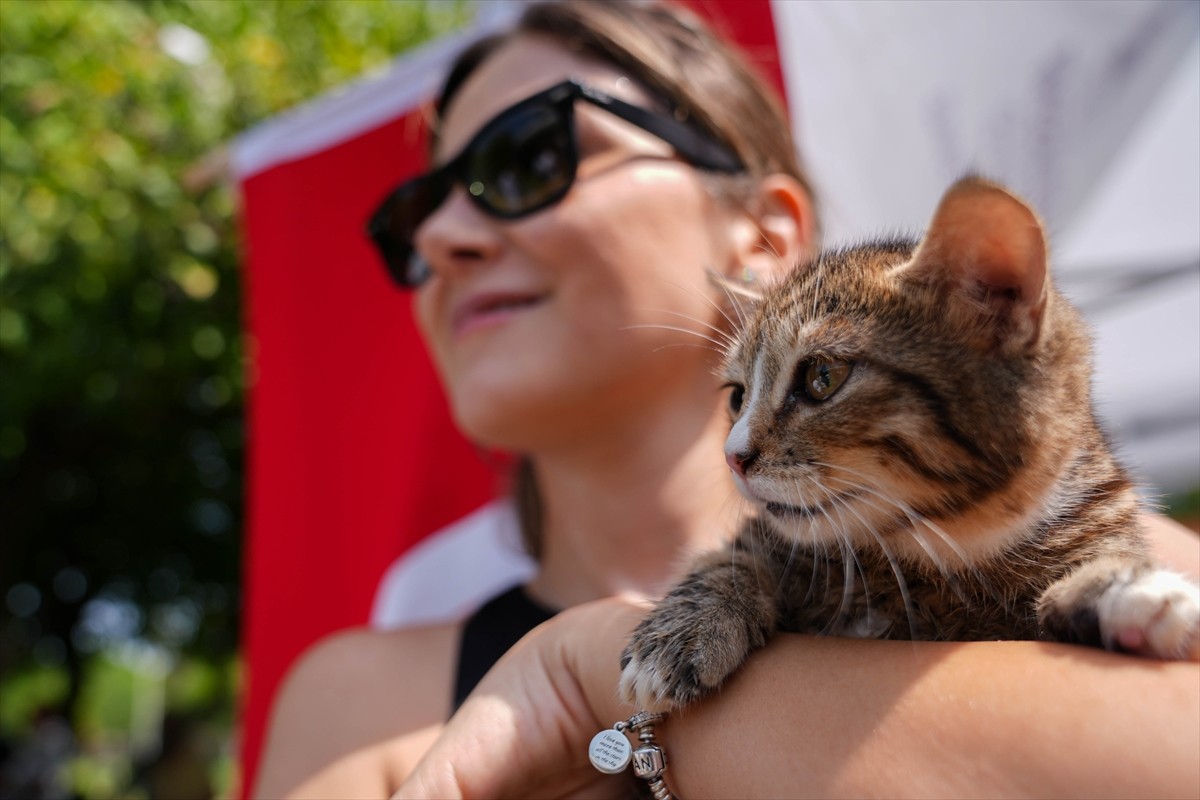 İzmir'deki orman yangınlarından etkilenen ve barınaklara nakledilen hayvanların sahiplendirilmesi...