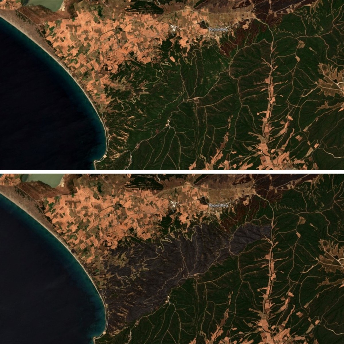 Türkiye'de son dönemde İzmir, Çanakkale, Aydın, Manisa, Bolu ve Muğla'da çıkan yangınlarda zarar...