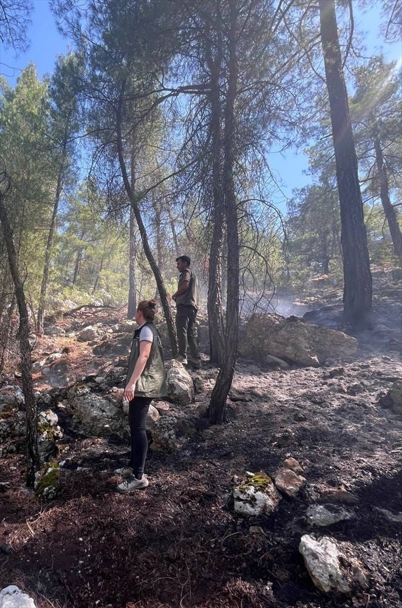 Burdur'un Bucak ilçesinde çıkan orman yangını söndürüldü.