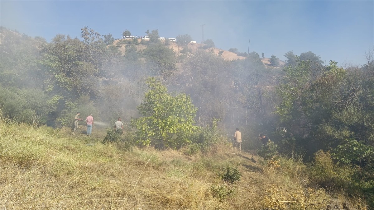 Tunceli'de ormanlık alanda çıkan yangının söndürülmesi için çalışma başlatıldı.