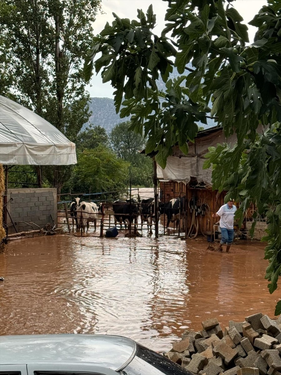 Antalya'nın Elmalı ilçesinde etkili olan sağanak yaşamı olumsuz etkiledi. Yuva Mahallesi'nde...