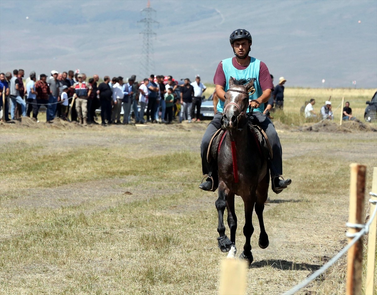 Ardahan'da Geleneksel Atlı Spor Dalları Federasyonunca organize edilen, rahvan at kültürünü...