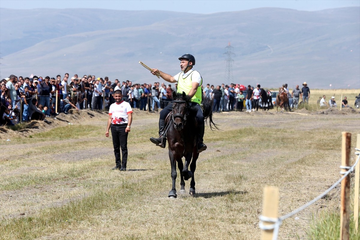 Ardahan'da Geleneksel Atlı Spor Dalları Federasyonunca organize edilen, rahvan at kültürünü...