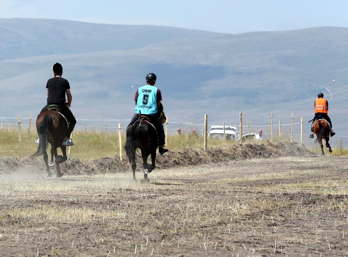 Ardahan'da Geleneksel Atlı Spor Dalları Federasyonunca organize edilen, rahvan at kültürünü...