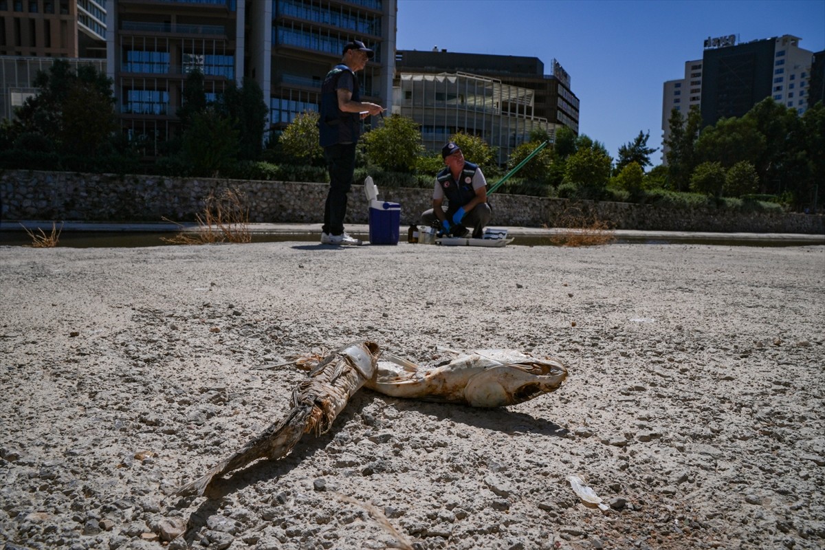 Kötü koku ve balık ölümleriyle gündeme gelen İzmir Körfezi'nde Çevre, Şehircilik ve İklim...