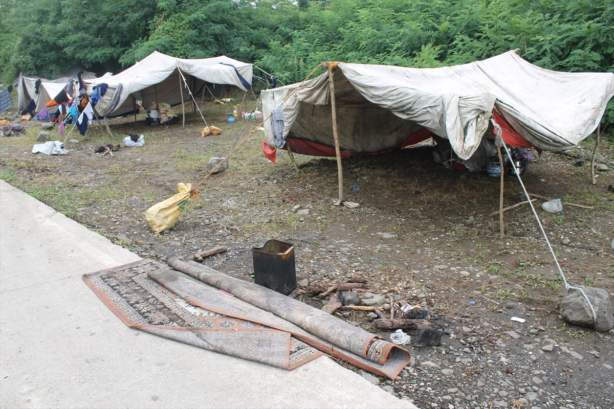 Samsun'un Terme ilçesinde etkili olan sağanak nedeniyle fındık toplamak için bölgede bulunan...