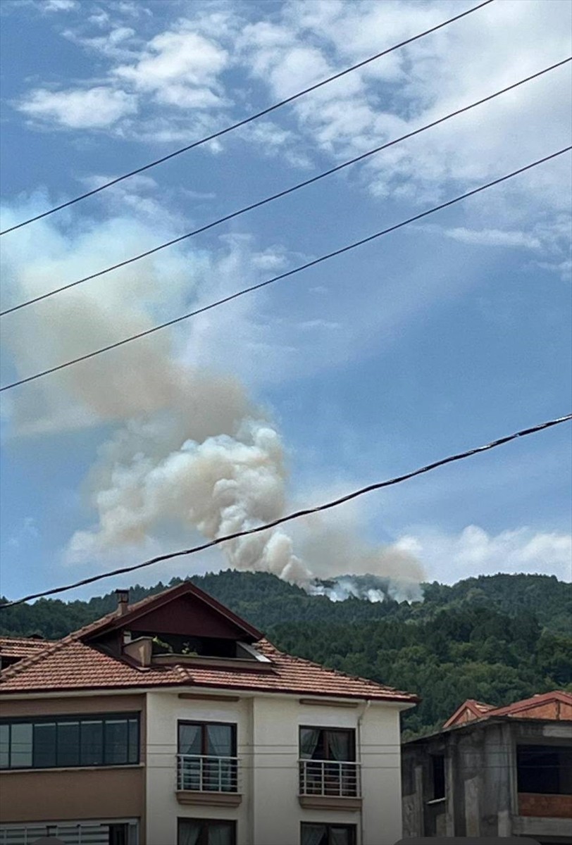 Zonguldak'ın Devrek ilçesinde ormanlık alanda çıkan yangın kontrol altına alındı, soğutma...