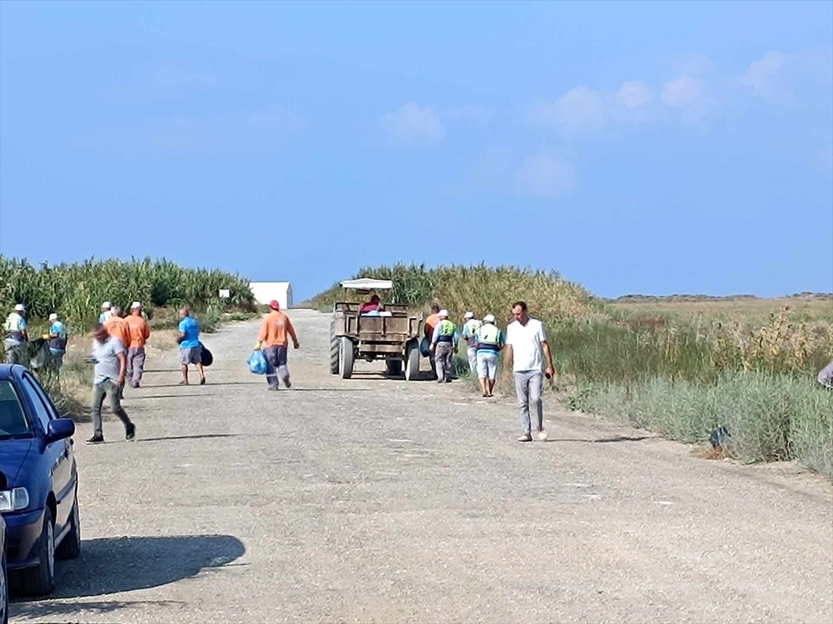 Hatay'ın Samandağ ilçesinde, "Mahalli Öneme Haiz Sulak Alan" olarak tescil edilen ve yüzlerce kuş...