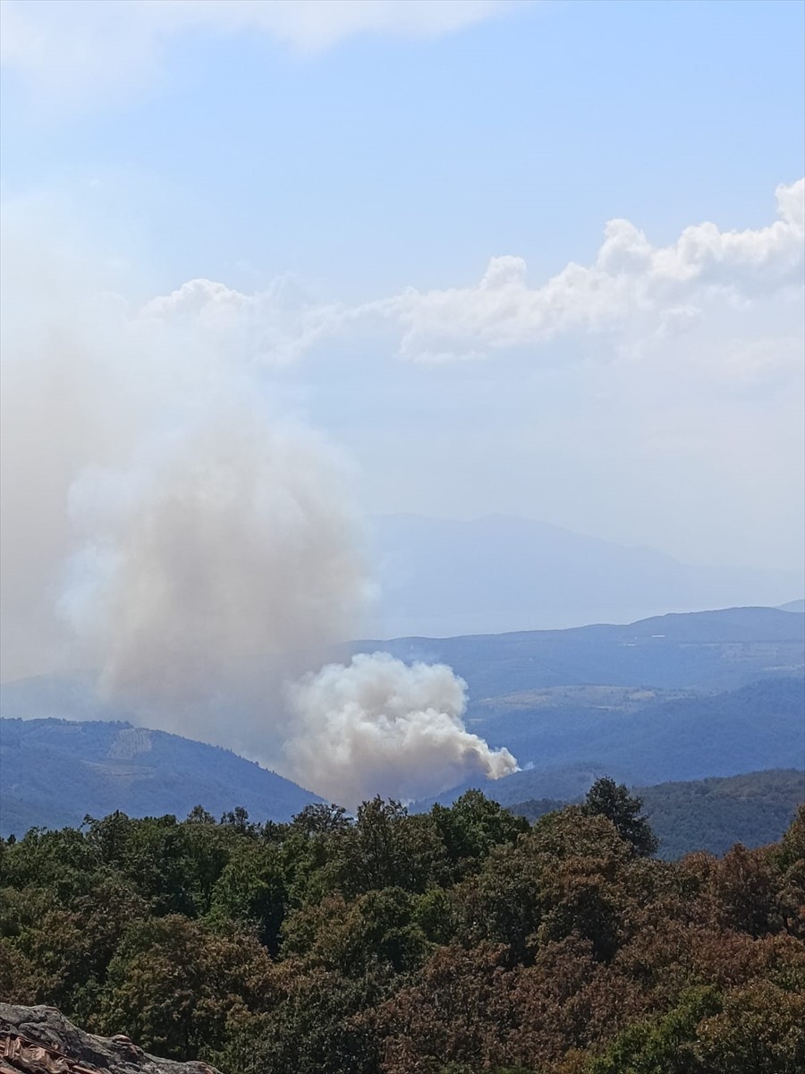 Bursa'nın İznik ilçesinde çıkan orman yangınının söndürülmesi için çalışma...