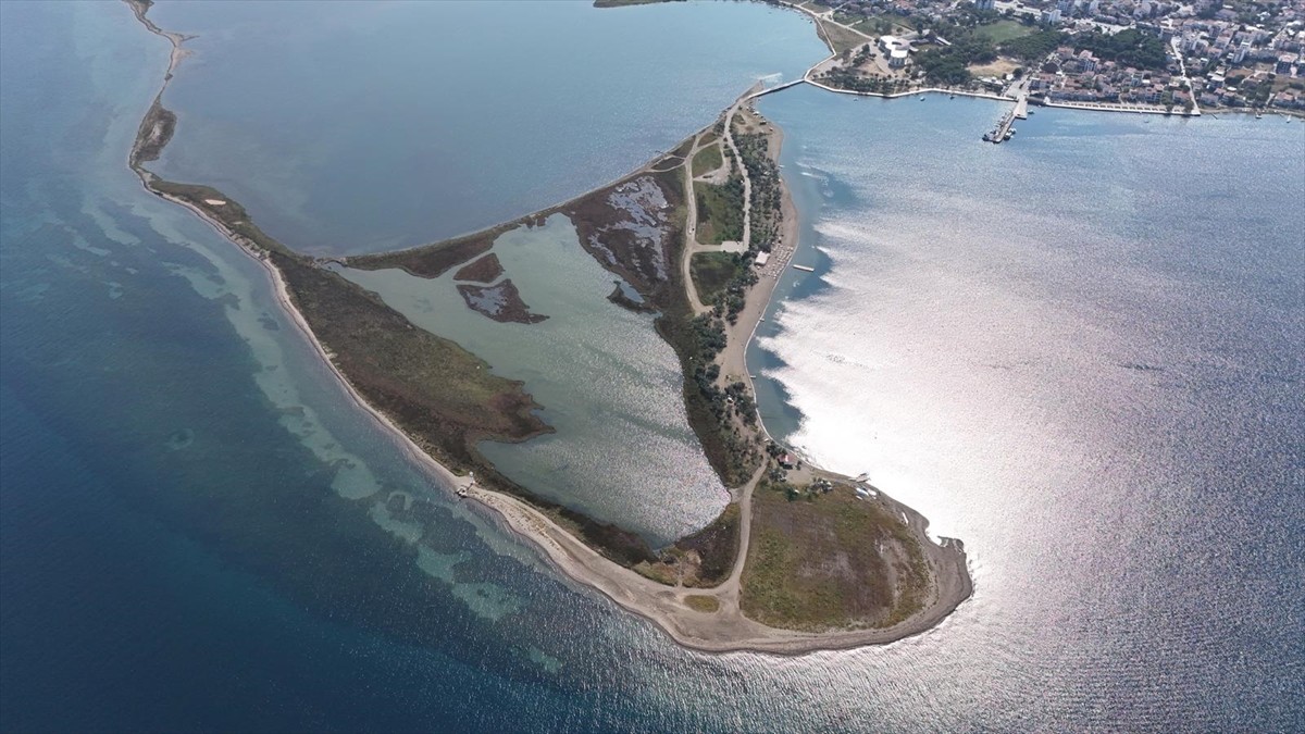 Çanakkale'nin Lapseki ilçesine bağlı Çardak beldesinde "Kum Adası" olarak bilinen bölge...