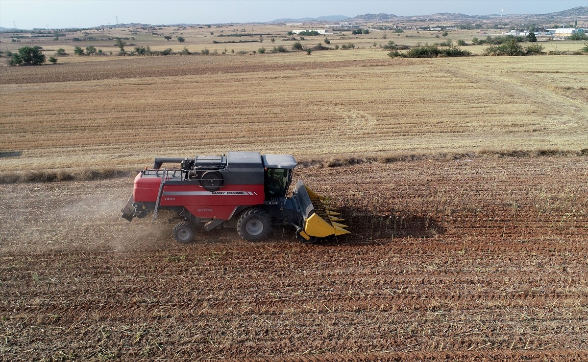 Türkiye'nin önemli ayçiçeği üretim merkezlerinden Edirne, Kırklareli ve Tekirdağ'da ayçiçeği ekili...