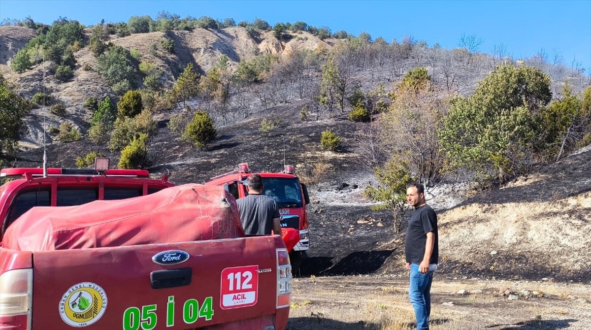 Amasya'da çıkan orman yangınında 2 hektar alan zarar gördü.