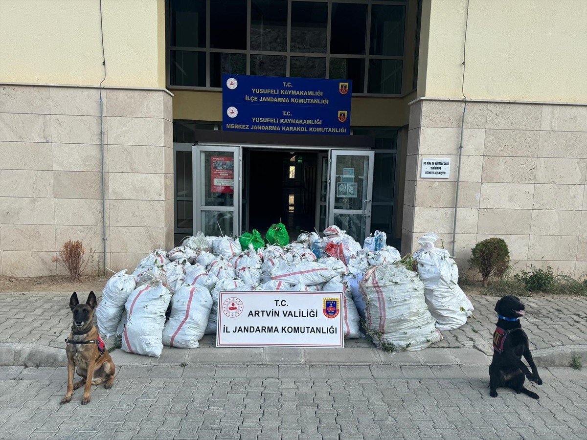 Artvin'in Yusufeli ilçesinde 502 kilogram esrar ele geçirilen "Narkoçelik-36" operasyonunda...