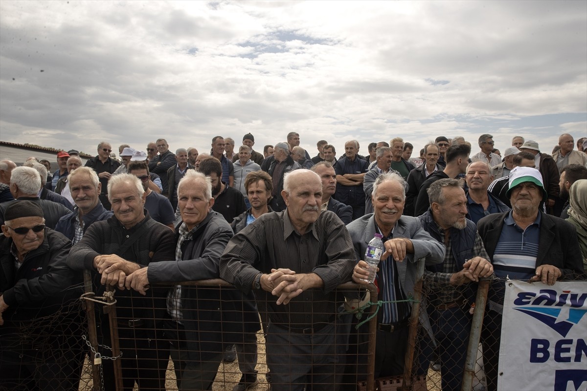 Batı Trakya'da Rodop iline bağlı Alantepe Yaylası'nda Kozlukebir Belediyesince "Alantepe Yağlı...