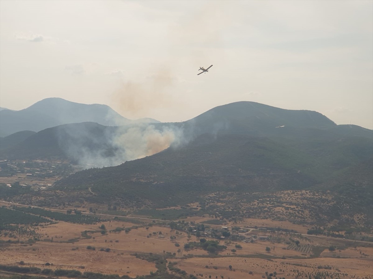 İzmir'in Menderes ilçesinde çıkan orman yangını kontrol altına alındı.