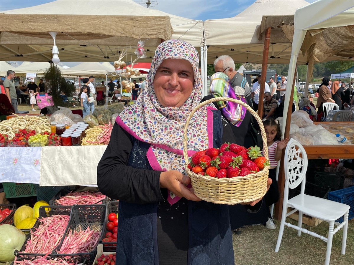 Sakarya'nın Pamukova ilçesinde Çilek Festivali gerçekleştirildi. Çilekli Mahallesi'ndeki...