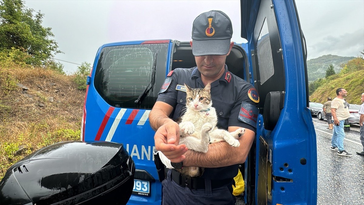 Zonguldak'ın Gökçebey ilçesinde yolcu otobüsüyle kamyonun çarpışması sonucu 2 kişi yaşamını...