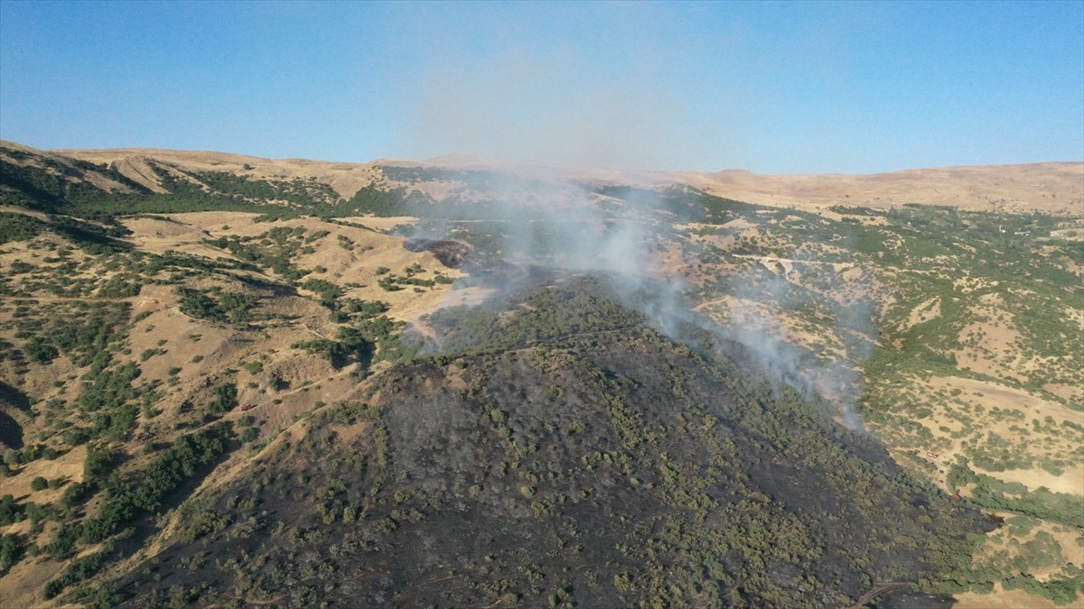 Elazığ'ın Karakoçan ilçesinde ormanlık alanda çıkan yangın kontrol altına alındı.