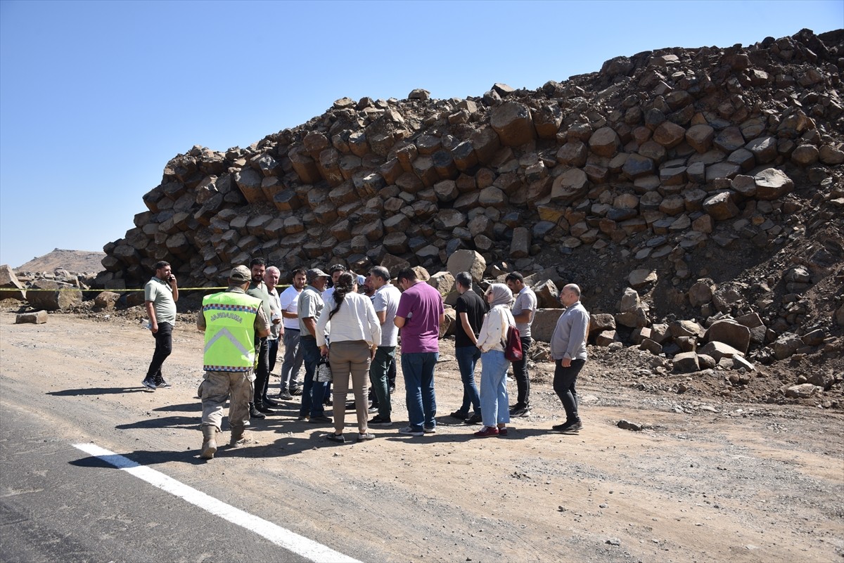 Şanlıurfa'nın Siverek ilçesinde yol çalışmaları sırasında 2-5 milyon yıllık olduğu düşünülen...