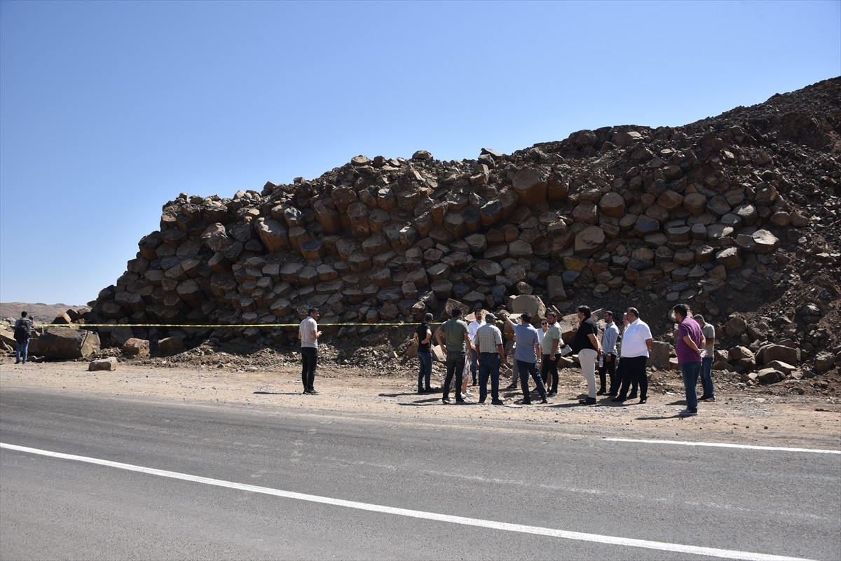 Şanlıurfa'nın Siverek ilçesinde yol çalışmaları sırasında 2-5 milyon yıllık olduğu düşünülen...