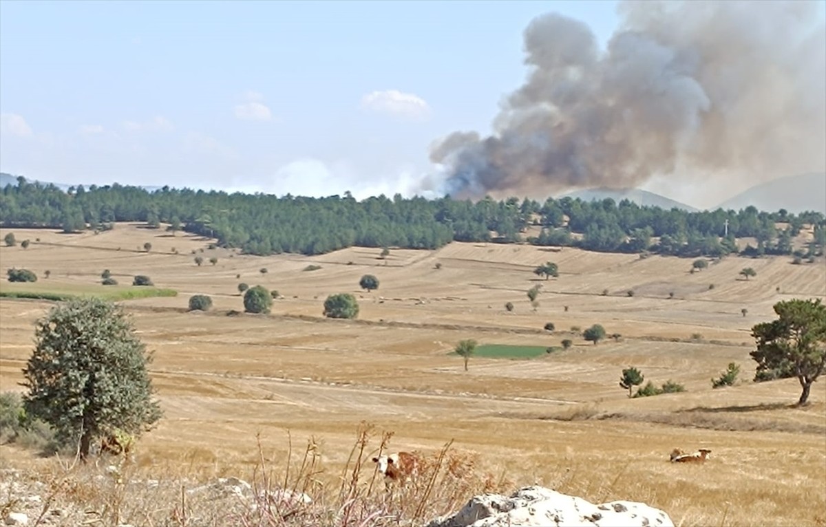 Kütahya’nın Aslanapa ilçesinde ormanlık alana sıçrayan anız yangınına müdahale edildi.