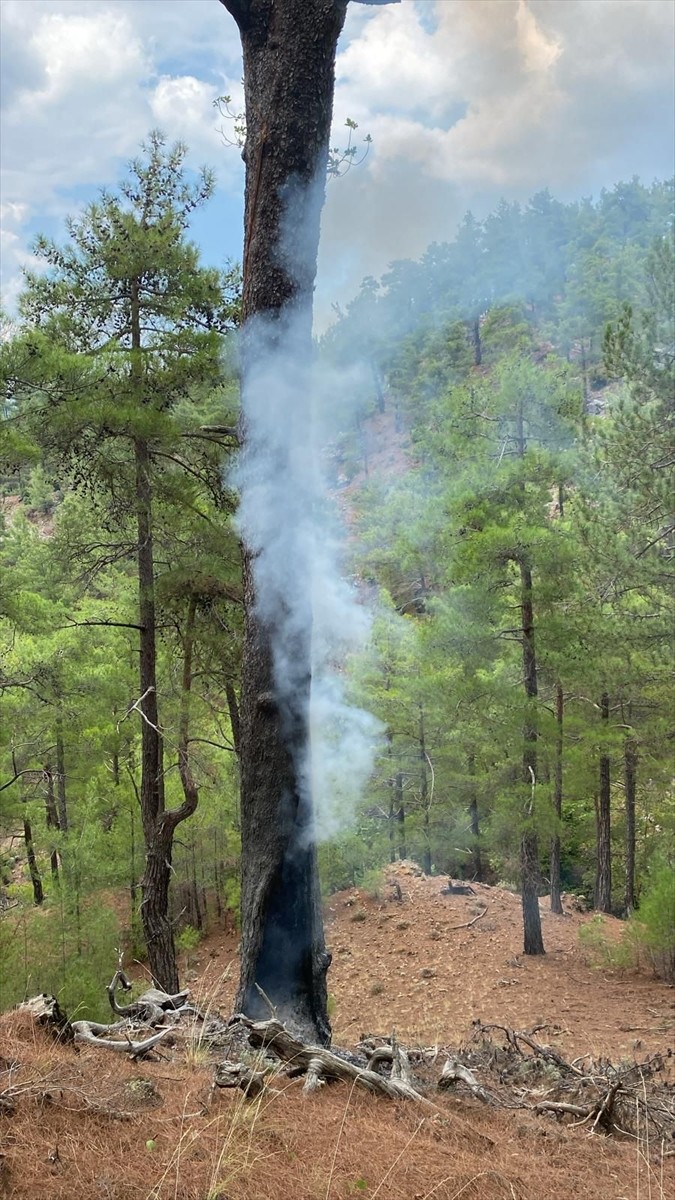 Muğla'da, yıldırım isabet eden 50 noktada çıkan orman yangınları söndürüldü.