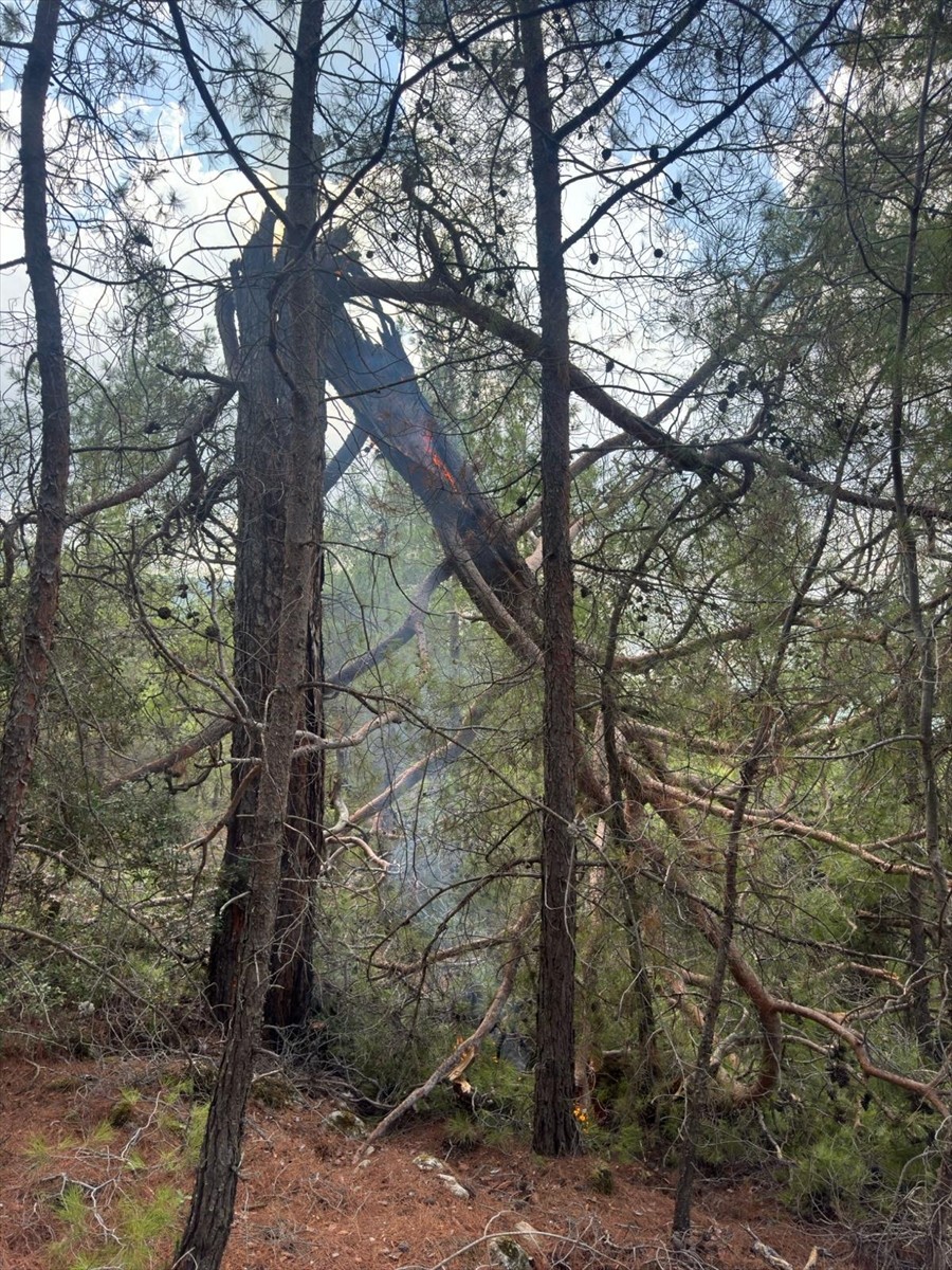 Muğla'da, yıldırım isabet eden 50 noktada çıkan orman yangınları söndürüldü.