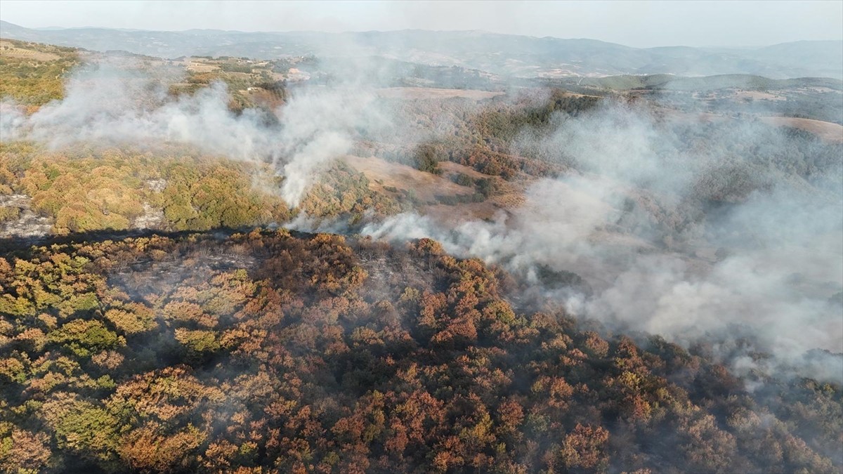 Kocaeli'nin Karamürsel ilçesinde çıkan orman yangını, ekiplerin müdahalesiyle kontrol altına...