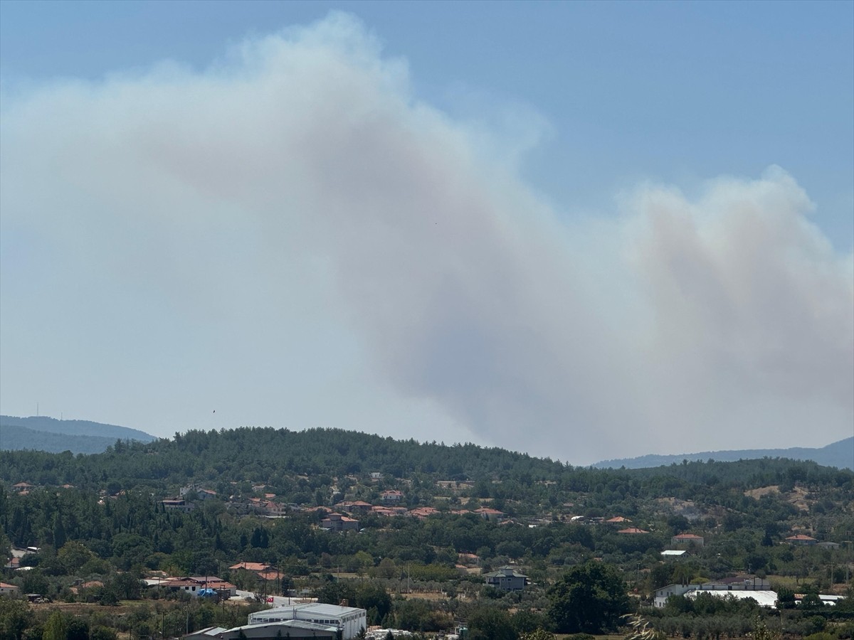 Muğla'nın Menteşe ilçesinde ormanlık alanda çıkan yangına havadan ve karadan müdahale...