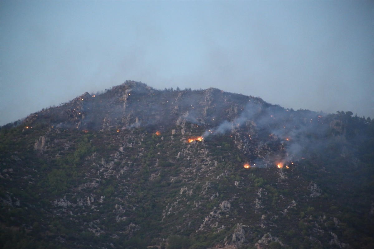 Muğla'nın Milas ilçesinde ormanlık alanda çıkan yangın söndürülmeye çalışılıyor.