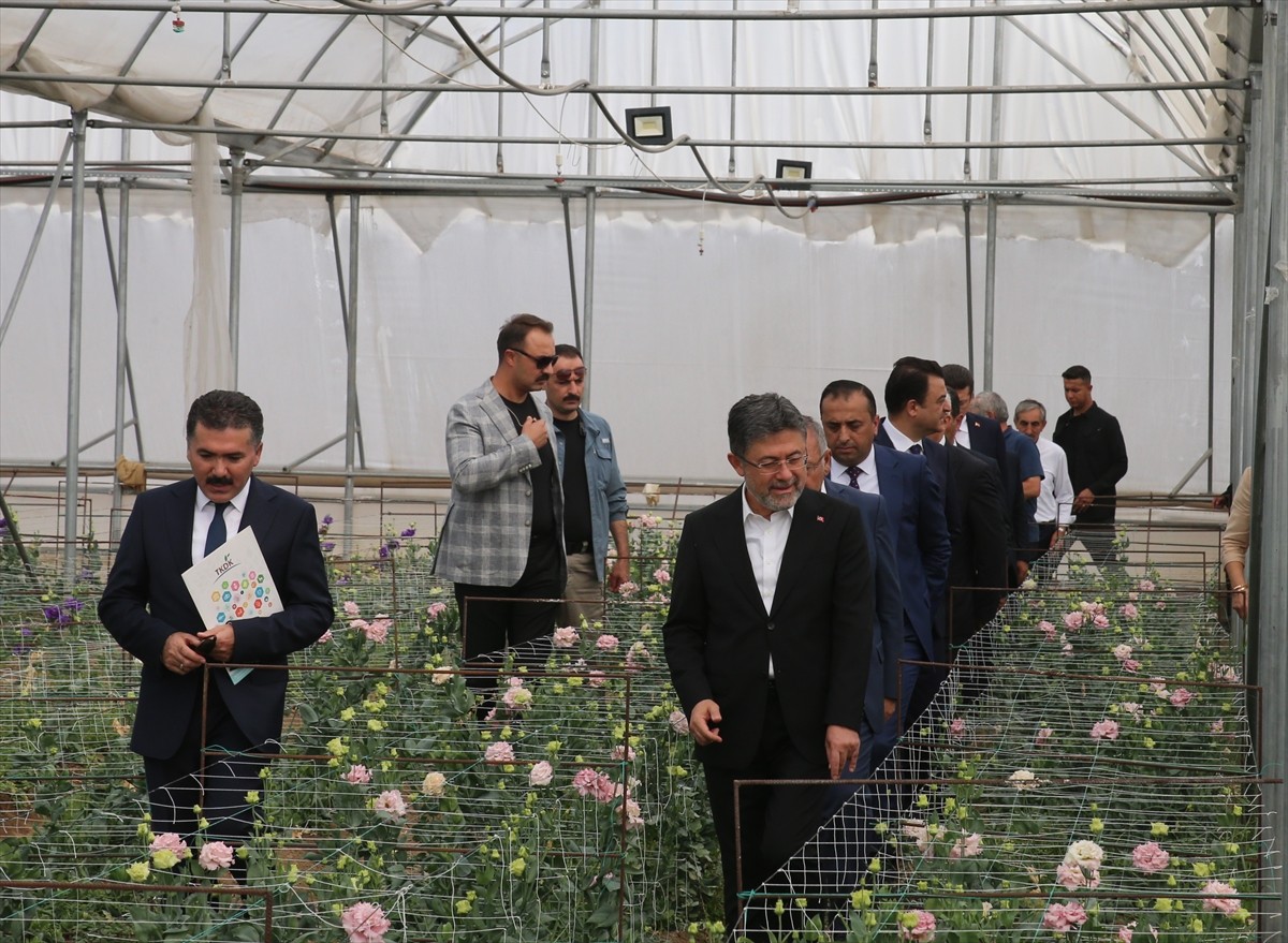 Tarım ve Orman Bakanı İbrahim Yumaklı, Tokat'ın Erbaa ilçesinde çiçek serasında incelemelerde...