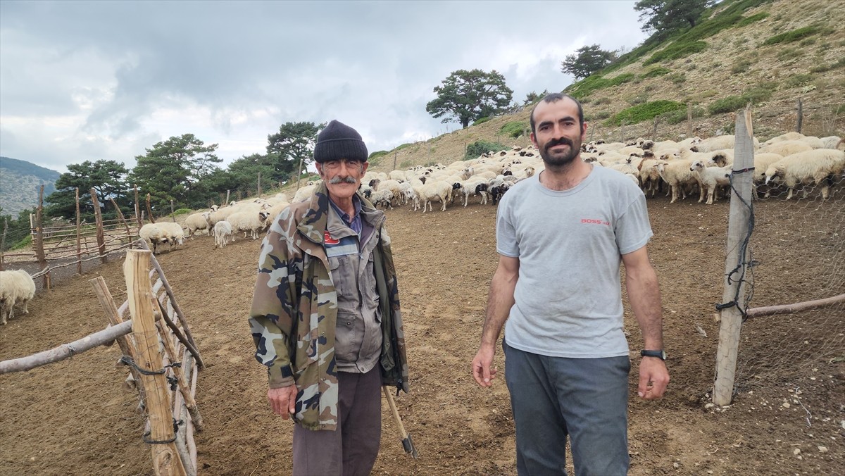 Amasya'nın Suluova ilçesinde yaz aylarını hayvanlarını götürdükleri yüksek ve serin yaylalarda...