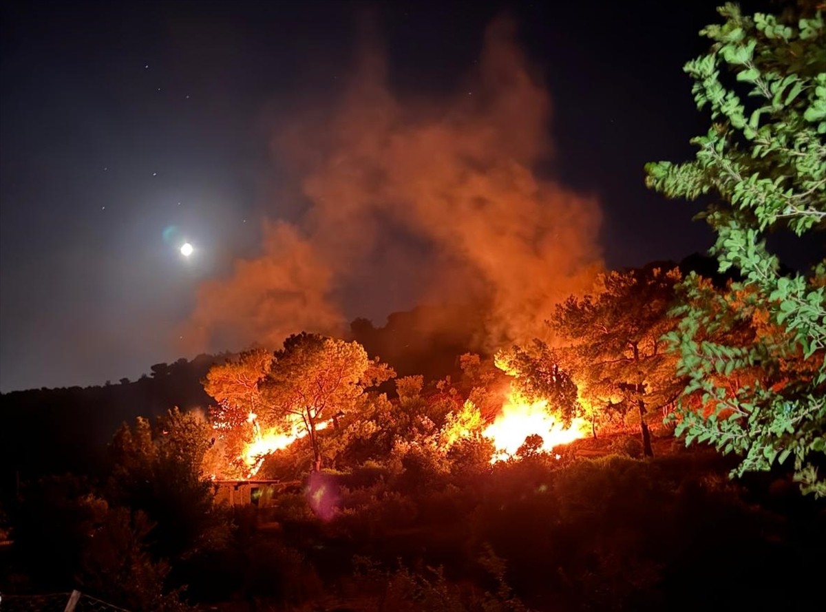 Hatay'ın Kırıkhan ilçesinde ormanlık alanda çıkan yangın, ekiplerin müdahalesiyle büyümeden...