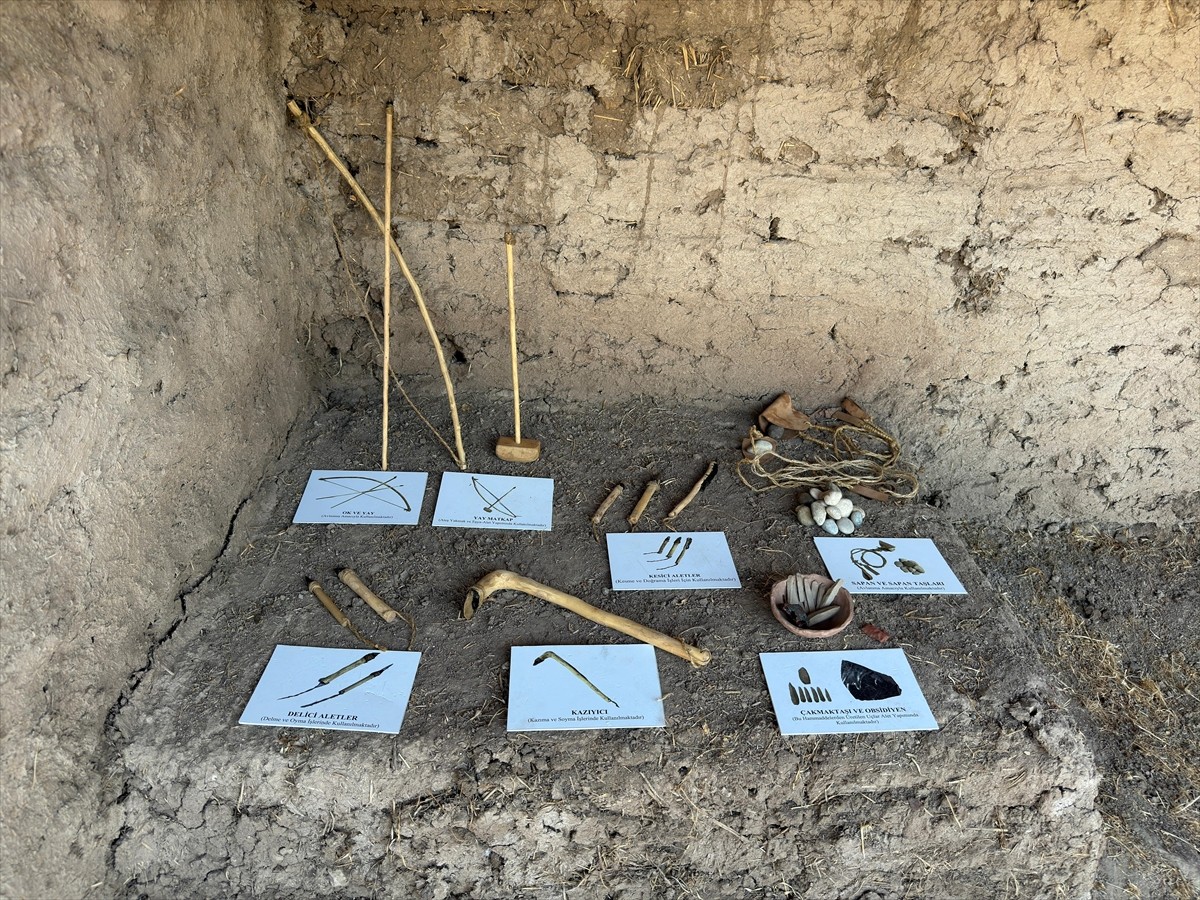 Kahramanmaraş'ın Türkoğlu ilçesindeki Domuztepe Höyüğü'nde yürütülen kazı çalışmalarının bu yılki...