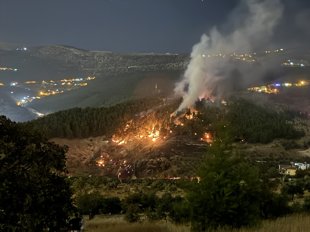 Kahramanmaraş'ın Dulkadiroğlu ilçesinde çıkan orman yangını kontrol altına alındı. İhbar üzerine...