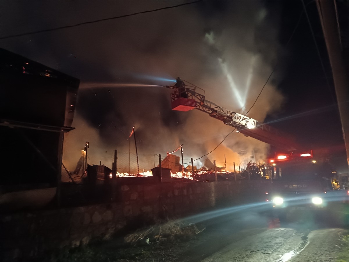 Kastamonu'nun Tosya ilçesinde çıkan yangında alt katı ahır, üst katı samanlık olarak kullanılan...