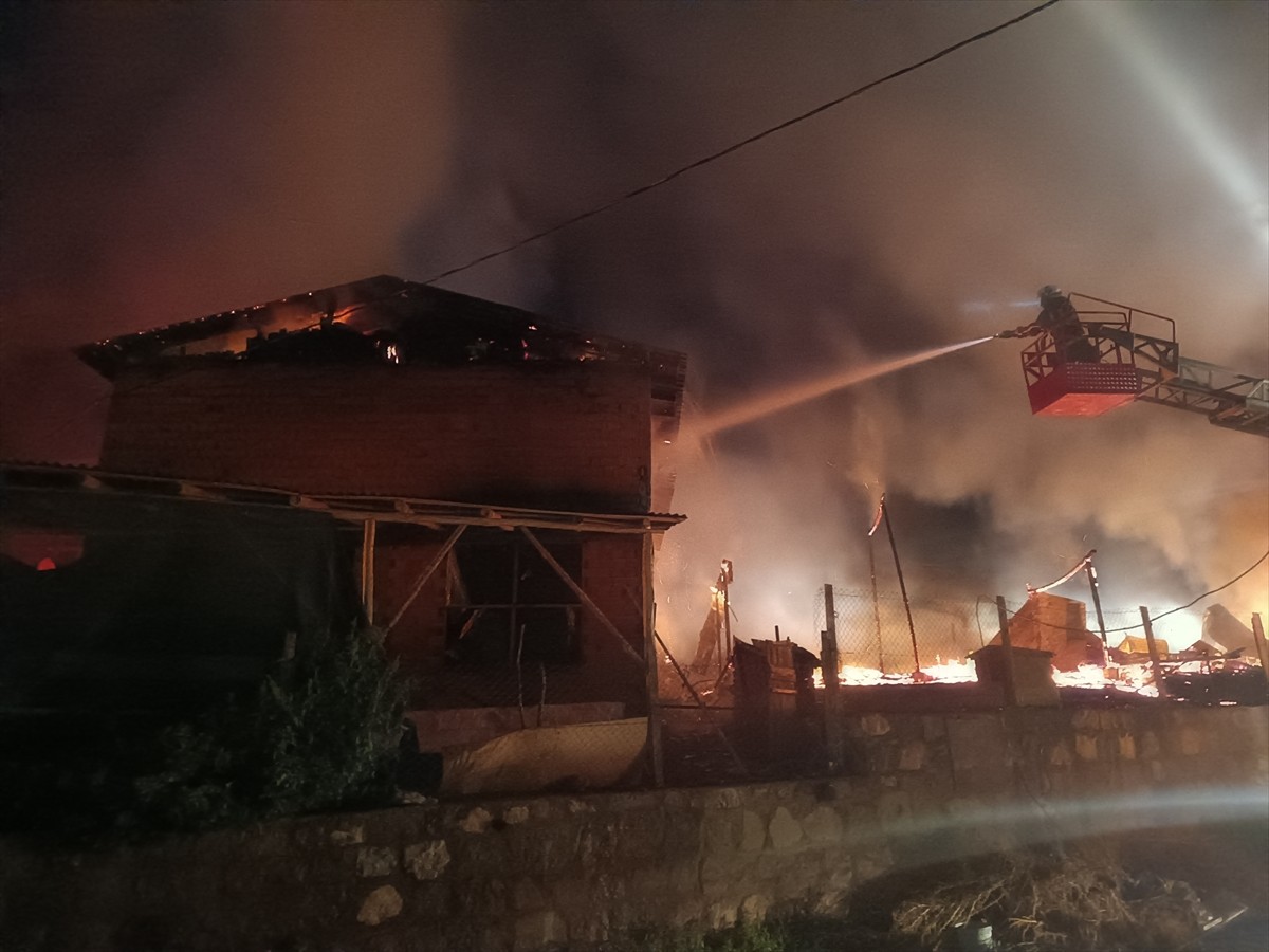 Kastamonu'nun Tosya ilçesinde çıkan yangında alt katı ahır, üst katı samanlık olarak kullanılan...