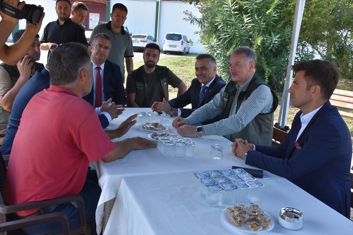 Toprak Mahsulleri Ofisi (TMO) Genel Müdürü Ahmet Güldal, Ordu'nun Gülyalı ilçesindeki fındık alım...