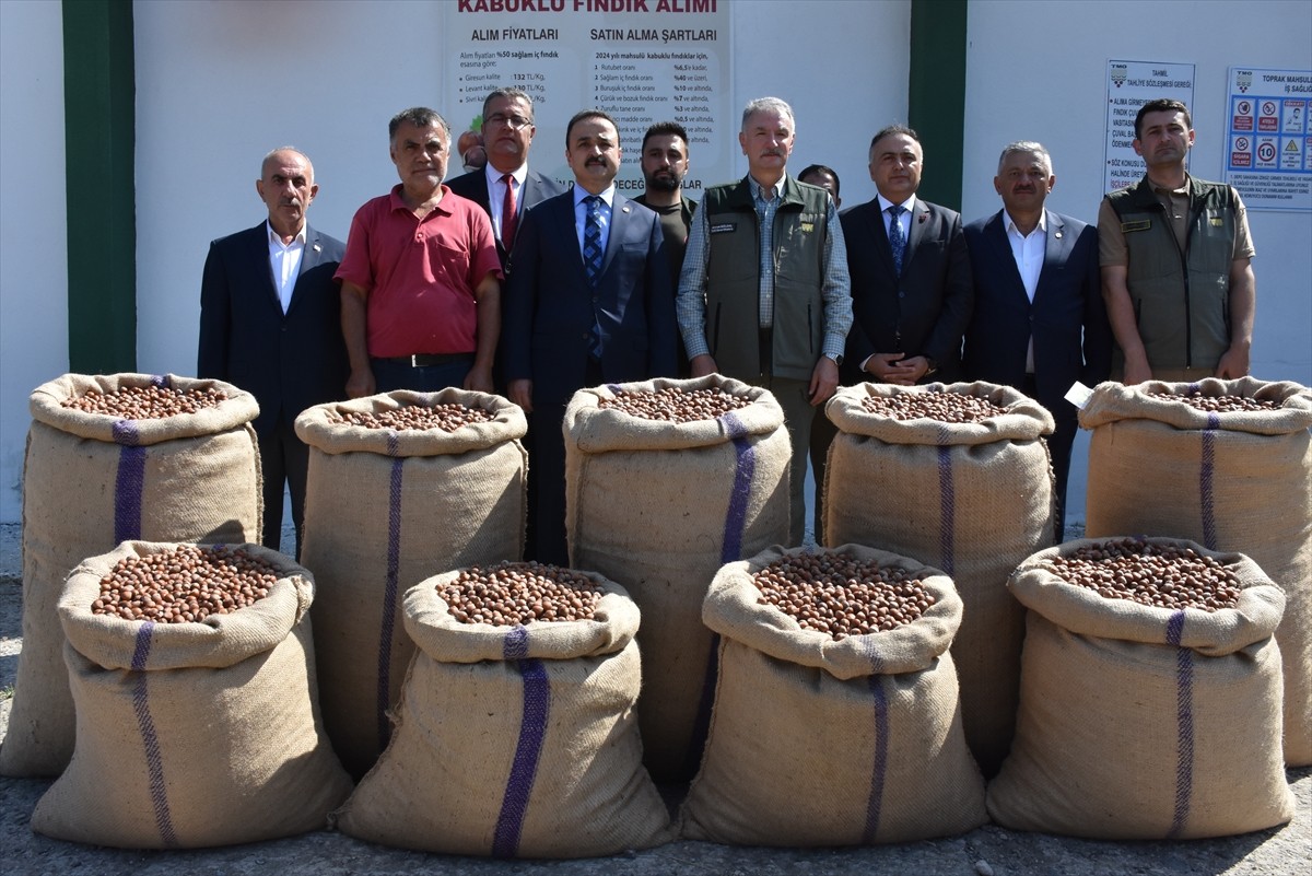 Toprak Mahsulleri Ofisi (TMO) Genel Müdürü Ahmet Güldal, Ordu'nun Gülyalı ilçesindeki fındık alım...