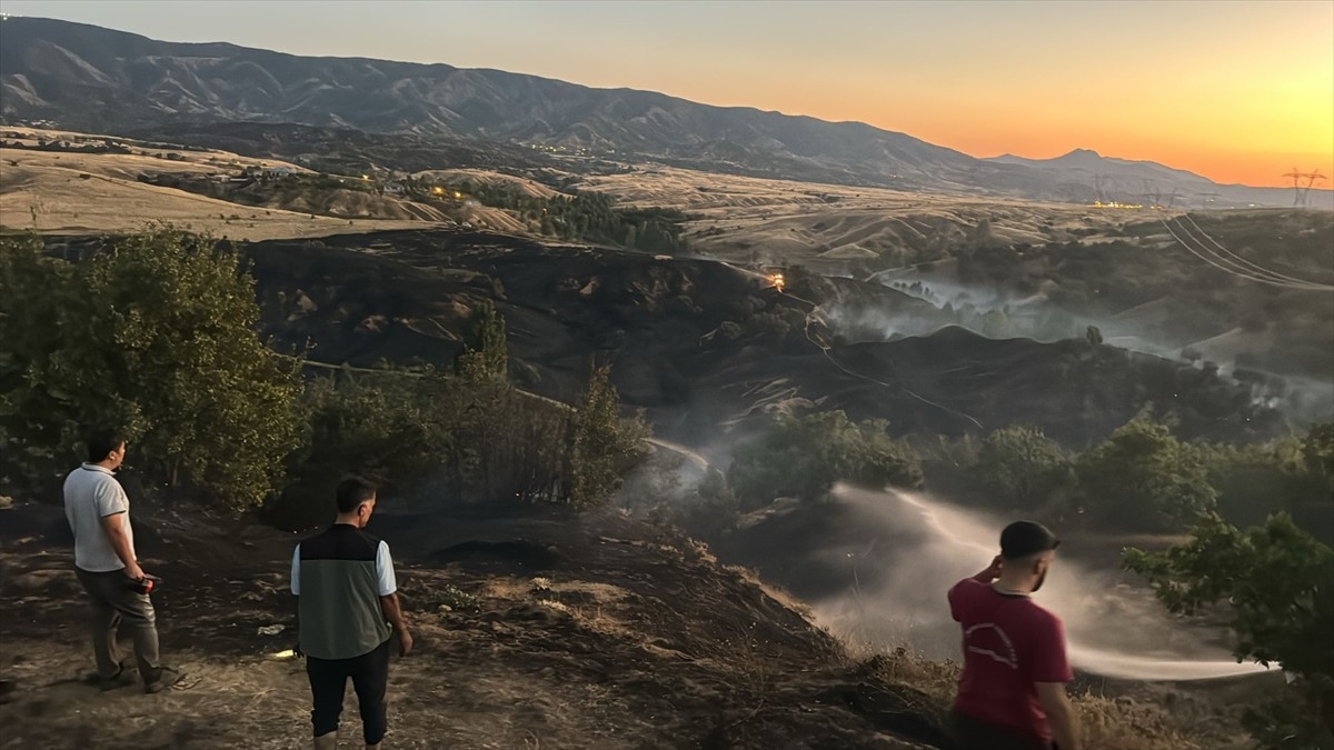 Bingöl'ün Genç ilçesinde ormanlık alanda çıkan yangın söndürüldü. 