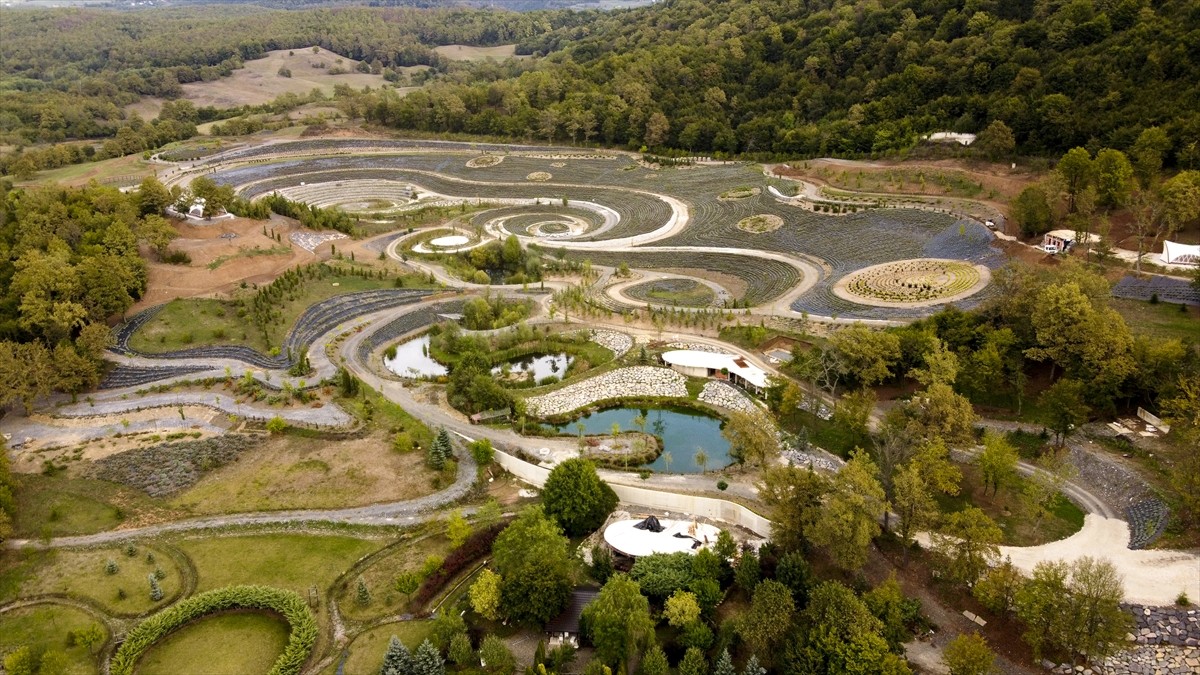 Bosna Hersek'in Visoko kenti yakınlarında bir park, Vincent van Gogh'un "Yıldızlı Gece" adlı...