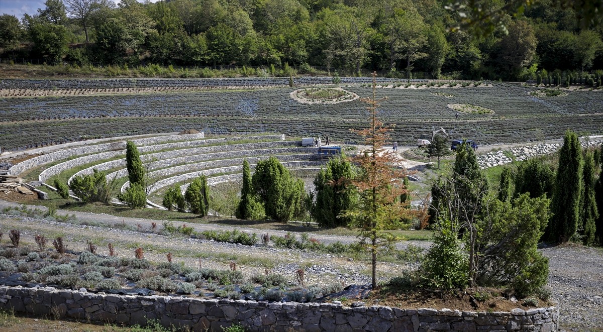 Bosna Hersek'in Visoko kenti yakınlarında bir park, Vincent van Gogh'un "Yıldızlı Gece" adlı...